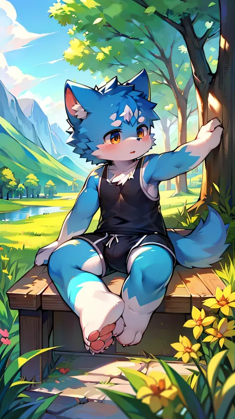 Features,super high quality,Very detailed,High resolution,超High resolution,Detailed Background,countryside,Not very detailed,超High resolution,Horny boy always details,超High resolution,Horny boy(Photos of solo travelers) (kemono,Furry Personification),Fluff...