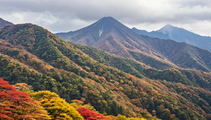 autumn leaves、Mountains in Japan々