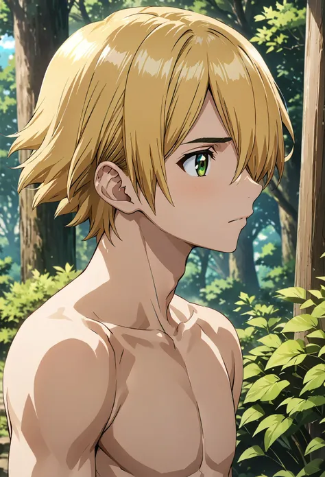 ginrou_dr_stone, blonde hair, green eyes, short hair, hair over one eye, high quality, score_9, score_8_up, score_7_up, amazing quality, best aesthetic, intricate details, masterpiece, best quality, 1male, solo, male_focus, feeling shy, fully naked, profil...