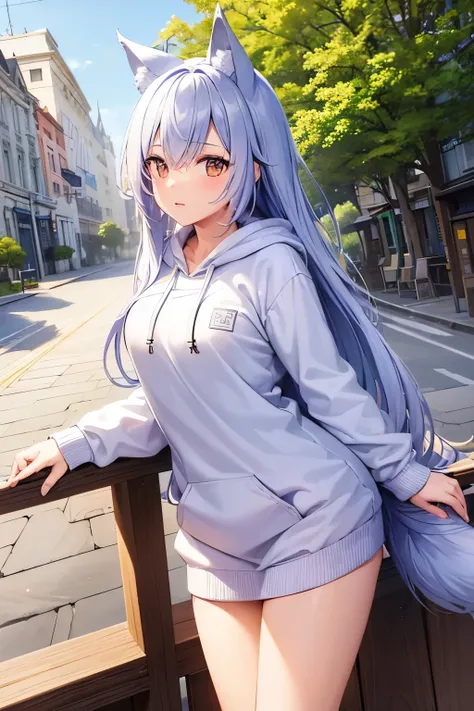 ((Highest quality)), ((high resolution)), ((masterpiece)), (detailed), One girl, Ice lavender hair,Wolf ears and tail, Brown Eyes, long hair, Around town, hoodie