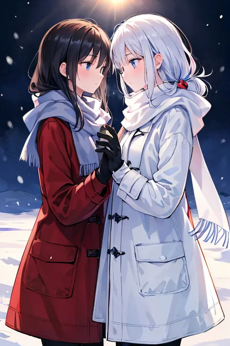 Highest quality, masterpiece, Ultra-high resolution, Detailed Background, 2 women　Embrace each other　Snow Scene　Open background　Plains　Warm-looking coat　Scarf　Woolen gloves　Gazing at each other　Light of the sun　Long black hair　Long white hair