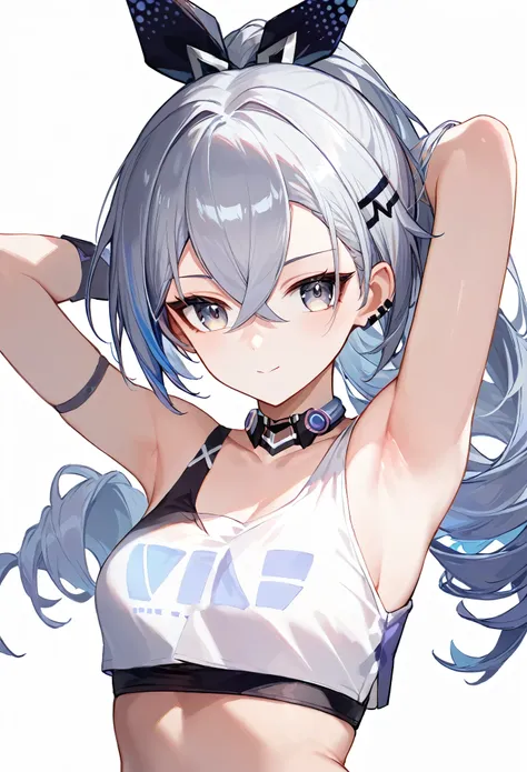 score_9, score_8_up, score_7_up,source_anime, high res image,masterpiece,best quality,girl,cute face,clear skin,simple_background,silver_wolf_honkai,armpit,