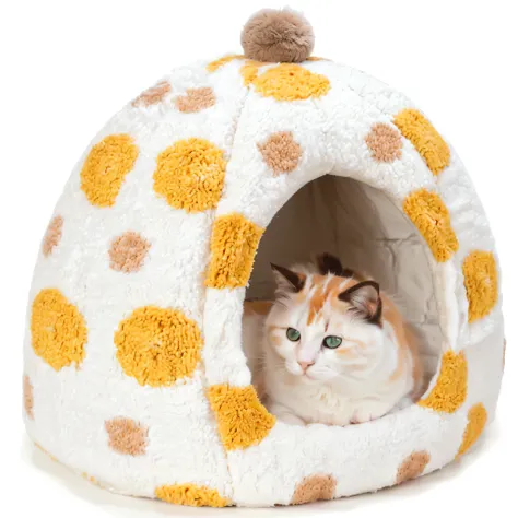 There is a cat sitting in the cat house, Exquisite, Designed for comfort and aesthetics!, calico, cute cat photo, Fluffy eBay product, Kawaii cat, a cute cat, There are few rice fields, cute cat, White，With chocolate brown spots, calico cat, The cat is smi...