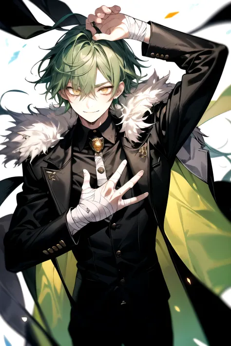 1 boy, long wet green hair, tied with a black ribbon. He has a fair complexion, yellow eyes, bandages on hands, serious look and kind smile, only showing her torso up, wearing a black suit with green jewelry, with a coat made of fur. Posing straight and ra...