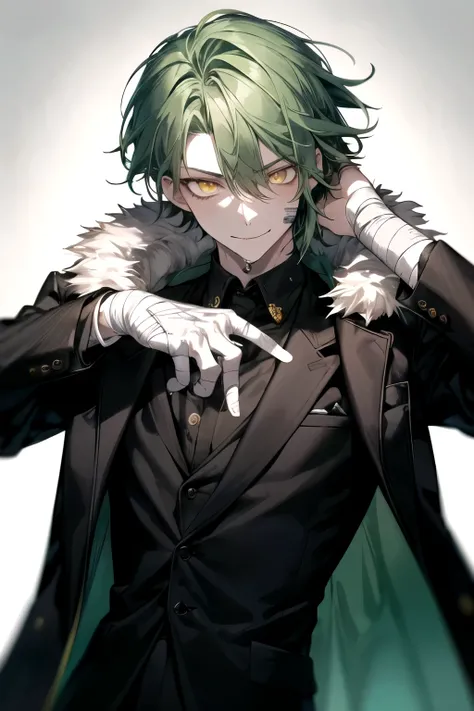 1 boy, long wet green hair, tied with a black ribbon. He has a fair complexion, yellow eyes, bandages on hands, serious look and kind smile, only showing her torso up, wearing a black suit with green jewelry, with a coat made of fur. Posing straight and ra...