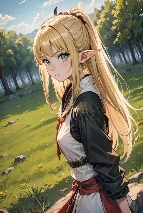 One Girl, Long Hair, rage, blonde, Green Eyes, samurai, Highest quality, High Resolution Model, Elf, clear, grassland, Fisheye Shot,