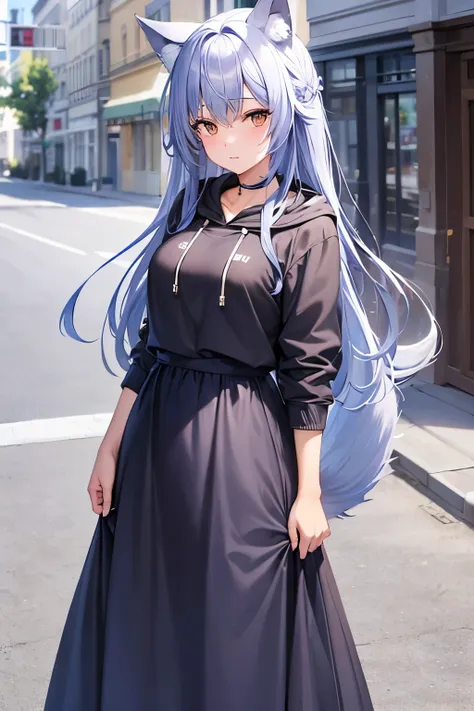 ((Best Quality)),  ((masterpiece)), (detailed), One girl, Ice lavender hair,Wolf ears and tail, Brown Eyes, Long Hair, Around town, Navy blue hoodie, Long skirt