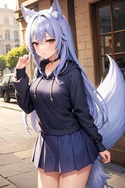 ((Best Quality)),  ((masterpiece)), (detailed), One girl, Ice lavender hair,Wolf ears and tail, Brown Eyes, Long Hair, Around town, Navy blue hoodie, Long skirt