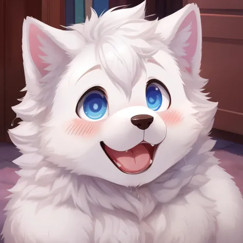 Samoyed, boy, Cuteness, blush, A look of ecstasy, Blue eyes, pink briefs, billow, drenched,