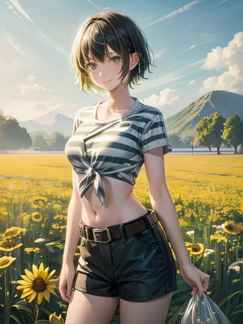 masterpiece, Best Quality, High resolution, Calm 1, 1 girl, Calm 1, 1 girl, Calm, Alone, Grey Eyes, Black Hair, green Shorts, shirt, (tied shirt),Belly button, Short Hair, Short sleeve, Shorts, stripe, yellow shirt, belt, Middle-class, glass, Field, smile,...