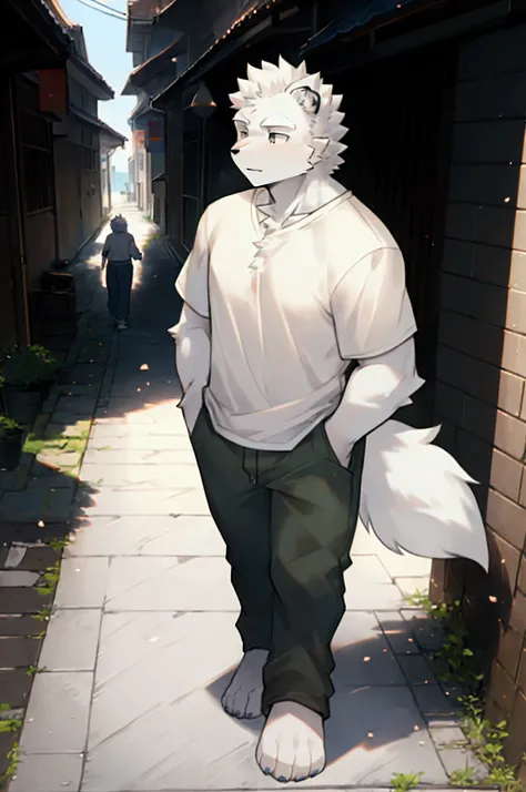 White Wolf Orc，youth，casual pants，White T-shirt，Walking down the street，Hands in pockets，