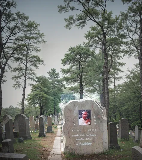 Old cemetery background,forest