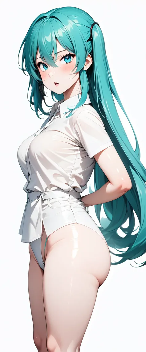 (((Hatsune Miku at 40))),Anime face、masterpiece, Best Quality, Best Quality, 16k, Very detailed, 2.5D, AI-generated, Delicate and dynamic, Very delicate facial expression, Delicate eye depiction,Big eyes and cute、 Healthy, Height: 160cm, Cute little breast...