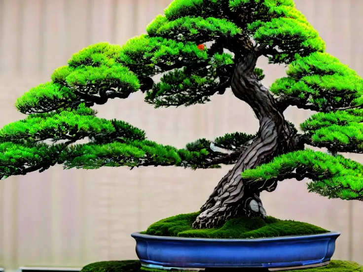 (masterpiece, Best Quality:1.2), 1 Potted Plant, Alone, 1 pot、Photographing the entire bonsai、Blank background、Plain background、White background、