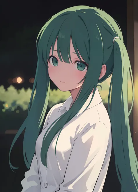 (masterpiece、Best Quality、Best Quality、Official Art、Beautiful and beautiful:1.2)、(One person:1.3)Hatsune Miku、Twin tails,Beautiful breasts,RAW photo of an elegant man, 50 years old, European, light green eyes, black hair blurred background, full body plane...