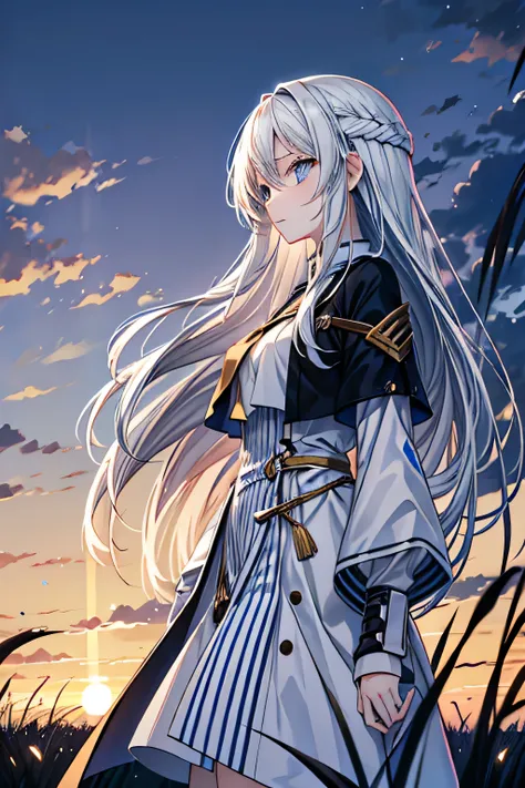 In a field where reeds grow up to waist height, Against the backdrop of the sunset sky, Side view of a blue-eyed anime girl with long white hair and a modern outfit