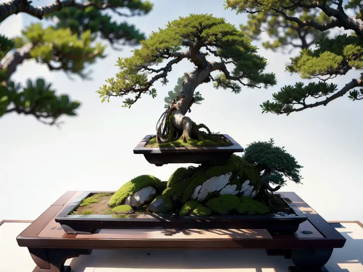 (A female student and a bonsai:1.2)、bonsai, Famous Bonsai Garden, (Lots of bonsai:1.2)、A wonderful masterpiece、High-end display stand、(Blur the background)、Best Quality、High image quality、masterpiece、4K、8k、wallpaper、