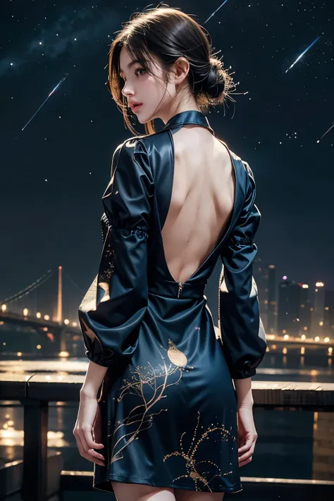 masterpiece, best quality, one girl, alone, guizhong city_genshin impact, default_dress, from behind, starry sky print, the slee...