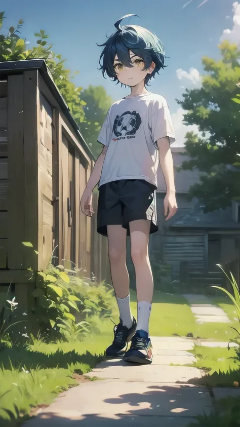 (masterpiece), best quality, hair between eyes, 1boy, child, solo, (blue hair), messy hair, ahoge BREAK standing, (yellow eyes) BREAK (pale skin:1.2) BREAK bored face, glaring, closed mouth, looking at viewer, t-shirt, short sleeves BREAK blue shorts BREAK...