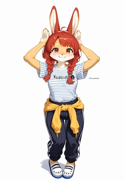 score_9, score_8_up, score_7_up, score_6_up, score_5_up, score_4_up, source_anime, best quality, masterpiece, 1 female, (furry, kemono:1.3), rabbit, solo, braid, twin braids, shirt, red eyes, red hair, t-shirt, full body, looking at viewer, clothes around ...