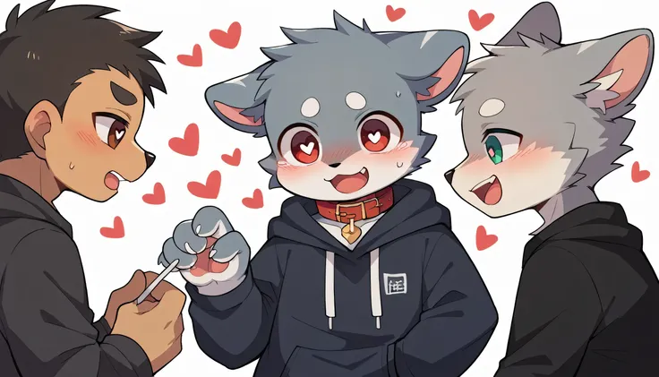 Very detailedな,Very detailed,Grey fur,Age 15,male,Excited at the sight of bones,Heart Eyes,participate,Red collar,Cute face,Fluffy fur,Horny boy,Three Boys,friend,Blushing the nose,Embarrassing,Black shorts,Sweatshirt,Long sleeve,Trendy