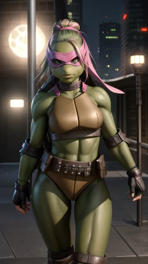 female teenage mutant ninja turtle, sleek build, standing confidently, dynamic pose, classic turtle shell, streamlined athletic ...