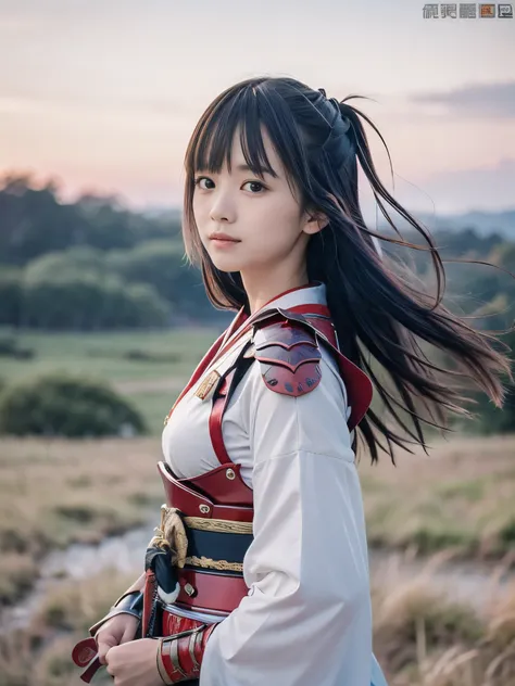 (Close up portrait of one slender small breasts two side up black medium hair with bangs girl in white kimono and an red colored armor warrior as samurai in Japan:1.5)、(One girl is point of a white-bladed sword on the grassland in Japan with small smile:1....