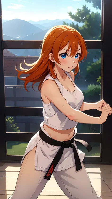 (masterpiece, 最high quality, high quality), whole body,Volumetric lighting, figure, beautiful, Perfect lighting, Perfect Shadow, (Amazing views:1.1), Blushing, In-person audience, Standing,Kousaka Honoka, blue eyes, Orange Hair,Empty-handed,White Karate Cu...