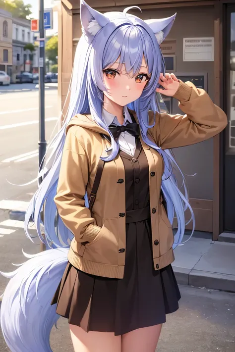 ((Best Quality)),  ((masterpiece)), (detailed), One girl, Ice lavender hair,Wolf ears and tail, Brown Eyes, Long Hair, Around town, hoodie, Brown cardigan, Black Skirt, Cute