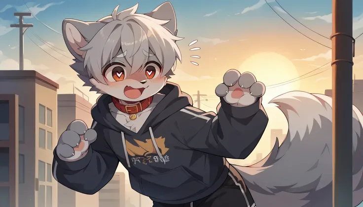 Very detailedな,Very detailed,Grey fur,Gray Hair,Age 15,male,Excited,Heart Eyes,participate,Red collar,Cute face,Fluffy fur,Horny boy,Flying,Blushing the nose,Embarrassing,Urban sky,Beautiful blue sky,Sunset,Black shorts,Sweatshirt,Long sleeve,Trendy