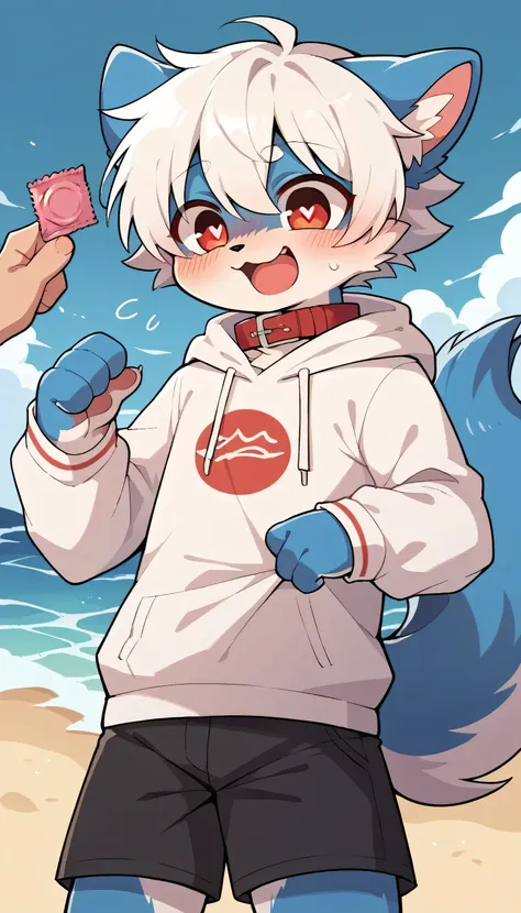 Very detailedな,Very detailed,Blue fur, white hair,Age 15,male,Excited at the sight of bones,Heart Eyes,participate,Red collar,Cute face,Fluffy fur,Horny boy,Dropped ears,Wave,condom,Blushing the nose,Embarrassing,Bright sky,Black shorts,Sweatshirt,Long sle...