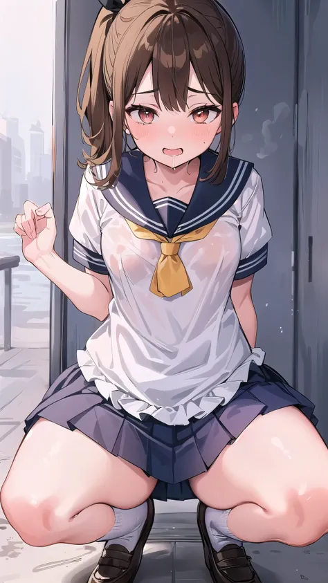 anatomically correct, one girl, small breasts,  ｛shortcuts:1.7｝, short ponytail, brown hair, character portrait,sailor suit,smil...