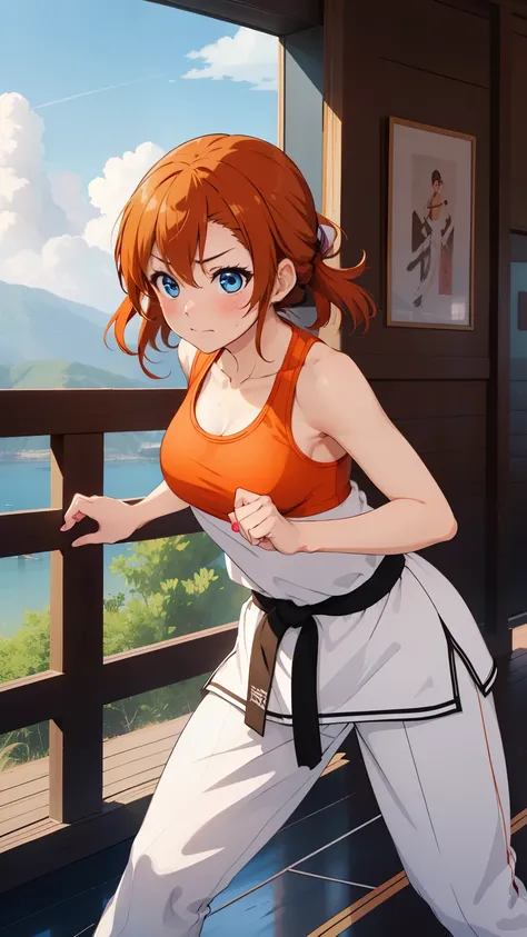 (masterpiece, 最high quality, high quality), whole body,Volumetric lighting, figure, beautiful, Perfect lighting, Perfect Shadow, (Amazing views:1.1), Blushing, In-person audience, Standing,Kousaka Honoka, blue eyes, Orange Hair,Empty-handed,White Karate Cu...