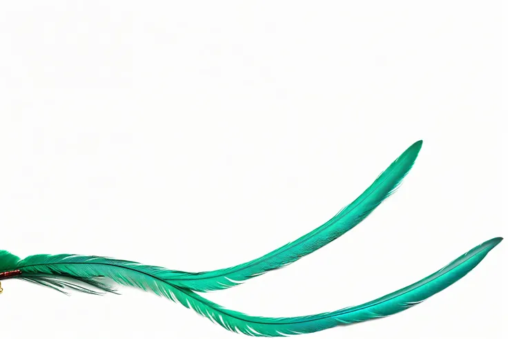 (8k, 16k, Best Quality, High resolution, 非常にdetailed,),(Anatomically correct, Realistic, RAW Photos,), ((resplendent quetzal,National bird of Guatemala:1.5),(Two long, shiny, jade-colored feathers,:1.6),Textured, detailed, Artistic,
