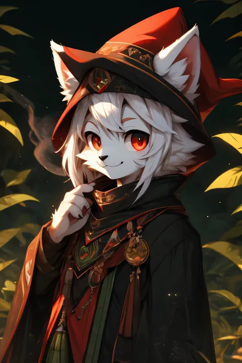 High Resolution, 4k, Anatomically Correct, UHD, Cat furry, big eyes, black nose, white ears, white tail, small, cute, smiling, fluffy fur, green and red eyes, medium length hair, white hair, androgynous, male, solo, black red and green mage outfit, black r...