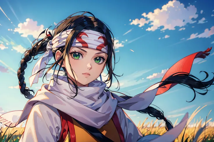 masterpiece, best quality,
1girl, kyoukai, black hair, braid, ponytail, green eyes,  headband, scarf,
upper body, solo, looking at viewer, grass, blue sky, meadow background 