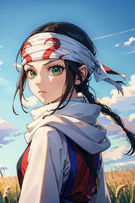 masterpiece, best quality,
1girl, kyoukai, black hair, braid, ponytail, green eyes, headband, scarf,
upper body, solo, looking at viewer, grass, blue sky, meadow background