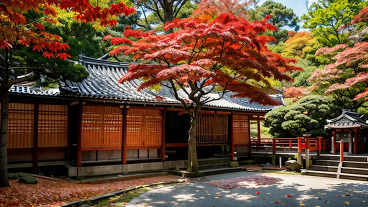 Red Leaf Tree!!Beautiful!!, By Torii Kiyomasu, Japanese Temples, near a Japanese Shrines, autumn, Japanese Templess, Japanese Shrines, Japanese Maple, Kyoto, Japan setting, autumn花园, Traditional Japanese colors, 在autumn