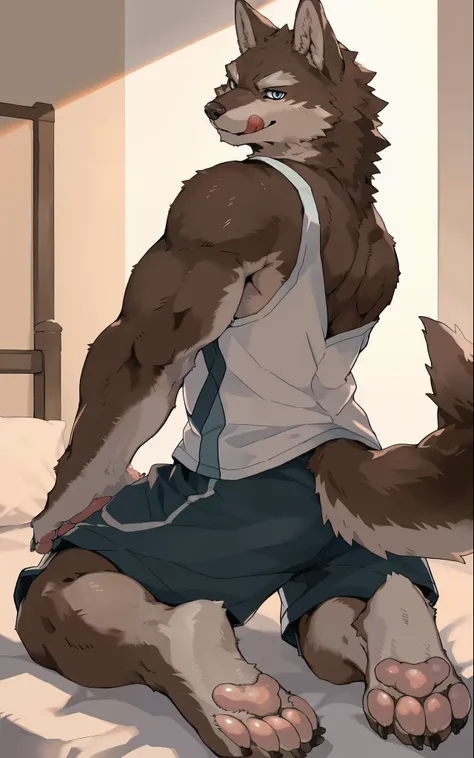 furry,kemono,anthro,
wolf,wolf ears,wolf tail,
brown fur,blue eyes,
back,
looking back,looking at viewer, licking lips, smirk,
s...