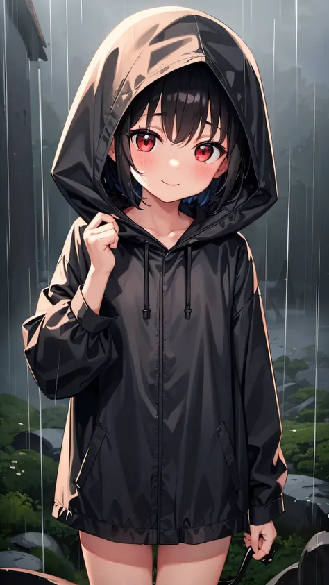 Little child girl 1,Short Hair,Black Hair,blush,smile,Wear a black hood,Raincoat,Wet,Red eyes,Stand up,forest,rain,cloudy,fog,Cowboy Shot,