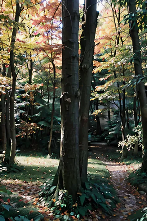 Woods in early autumn，fine leaves