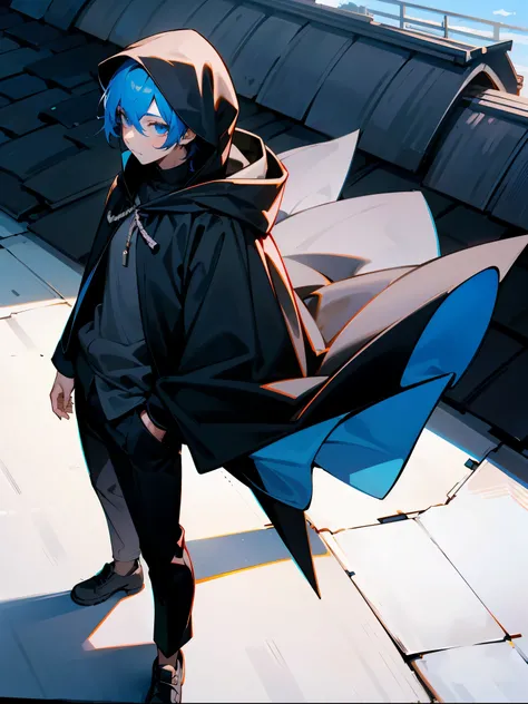 1male , Adult Male , Blackish Blue Hair , Blue Eyes , Fitted Black Cloak , Blue Hood , Hood on Head , Street Clothing , Black pants , Standing on rooftop , Calm Expression , Lean Build , Perfect Generation