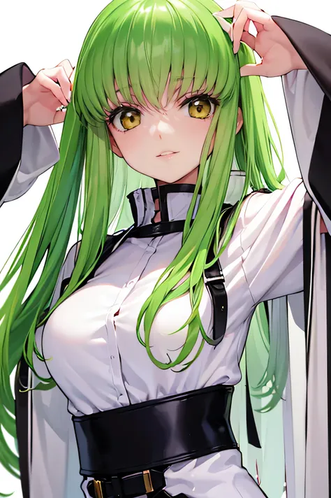 masterpiece, best quality,
1girl, c.c., bangs,  green hair, long hair, yellow eyes, 
bodysuit, straitjacket,
upper body, smile, ...