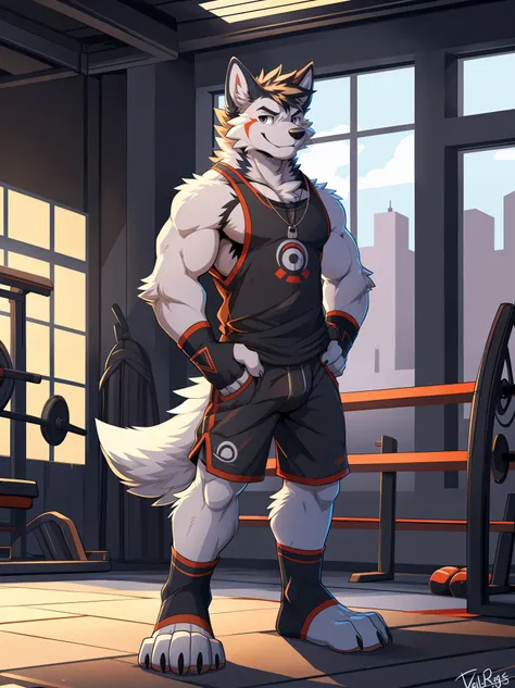 anthro, canid, canis, canine, mammal, husky, nordic sled dog, splitz, standing, college gym, ((tank top, shorts, toeless gloves,...