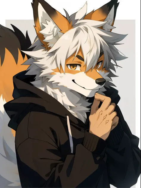 male, anthro, furry,  (fox), solo male, fur texture, soft expression, smiling, messy fur, black hoodie,