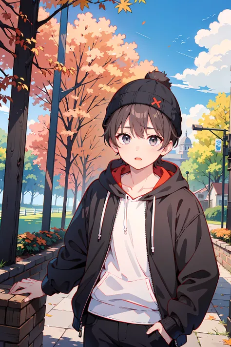 ((masterpiece、Highest quality、Very detailed))、((One boy))、Cool boyfriend、Handsome、 black hair、Gray eyes、、Black hoodie、 beanie、Stand、outdoor、Sky、Fall 