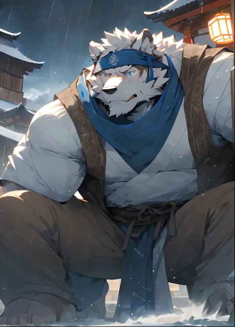 (masterpiece)，( very detailed )，( best quality )，hairy，wolf，black fur， white hair，Grey pupil ， muscular，( Japanese samurai clothes)，((blue scarf))，(( brown headband ))，(Blush:1.1)， pretty print ， temple background ，8k，( high quality )，(Ultra  high quality ...