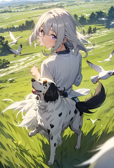 ((Masterpiece)), (Anime:1.5), ((best quality)), (High Definition:1.3), pov(dogs looking atviewer,,dogs back,English setter,) grasss field,flying bird,landscape,windblow,