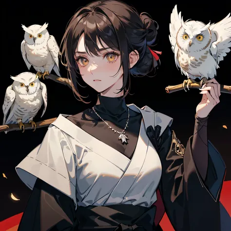 ((masterpiece)), newest, absurdres, safe, beautiful girl, (tomboy girl), (woman), ((have a pet white owl)), anime girl, anime,  brown dark hair, (hair tied), ((hair tied in a bun like a noble hair with bangs)), Brown dark hair, (black hair under brown mixe...