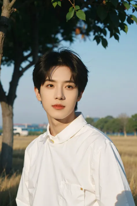 nansheng,1 boy,alone,male focus,sky空,outdoor activities,sky,actual,shirt,grass,upper body,white shirt,keep your mouth shut,(best...